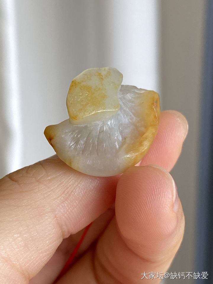 那个之前半僵火龙果被我做成了菌类_和田玉