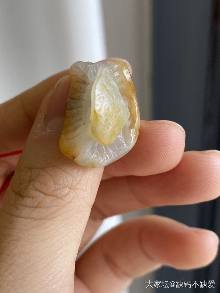 那个之前半僵火龙果被我做成了菌类_和田玉