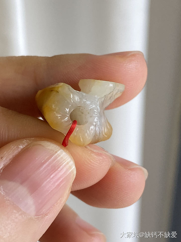 那个之前半僵火龙果被我做成了菌类_和田玉