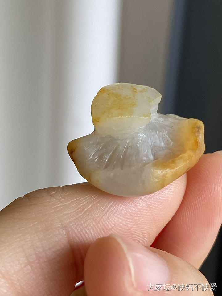 那个之前半僵火龙果被我做成了菌类_和田玉