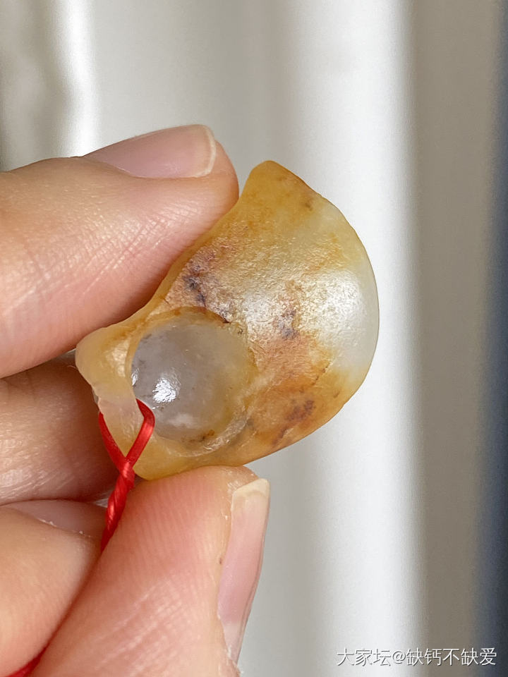 那个之前半僵火龙果被我做成了菌类_和田玉
