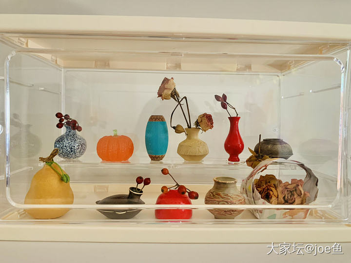 占地方的美丽废物_玩具