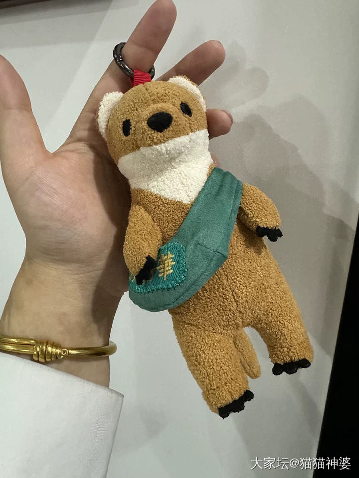 陪我上班的小可爱们_手镯翡翠