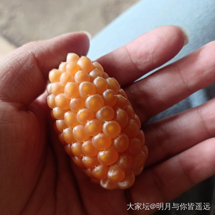 最近手机盘的新品，有点扎手_文玩