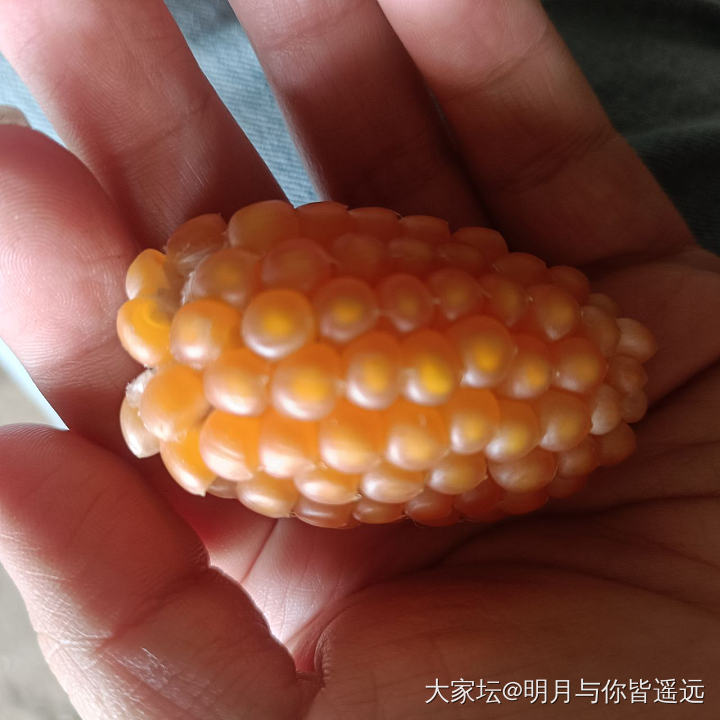 最近手机盘的新品，有点扎手_文玩