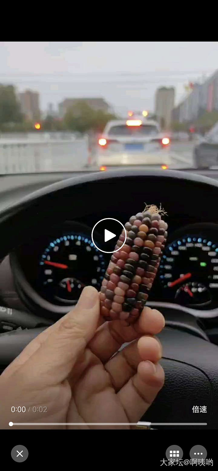 最近手机盘的新品，有点扎手_文玩