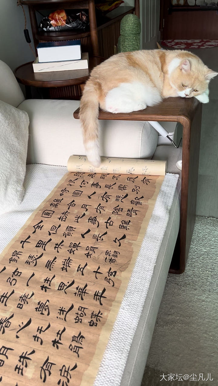 练笔_文玩