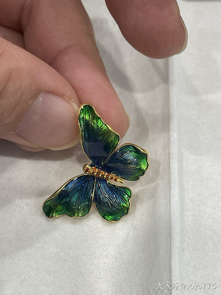 一件成团的蝴蝶🦋收到了，也来晒晒_吊坠福利社金