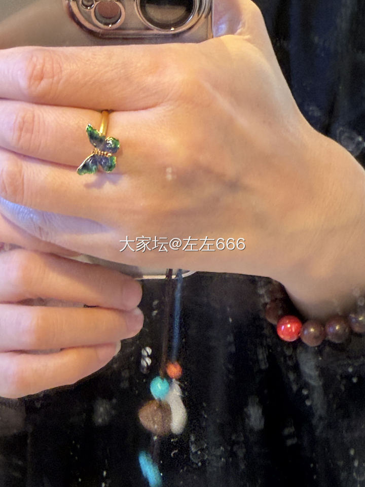 这蝴蝶谁不爱呢_福利社金