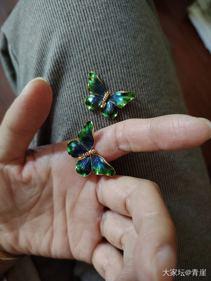 后知后觉也上个幻彩蝴蝶🦋🦋🦋_福利社金