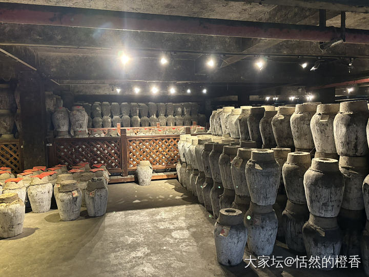 真正的古法，地下酒窖厚重的尘_中国酒