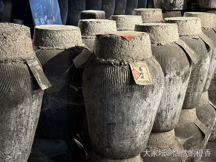真正的古法，地下酒窖厚重的尘_中国酒