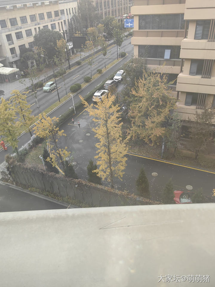 没更新的日子都没在好好生活（晒本日份黄金搭配）_搭配金