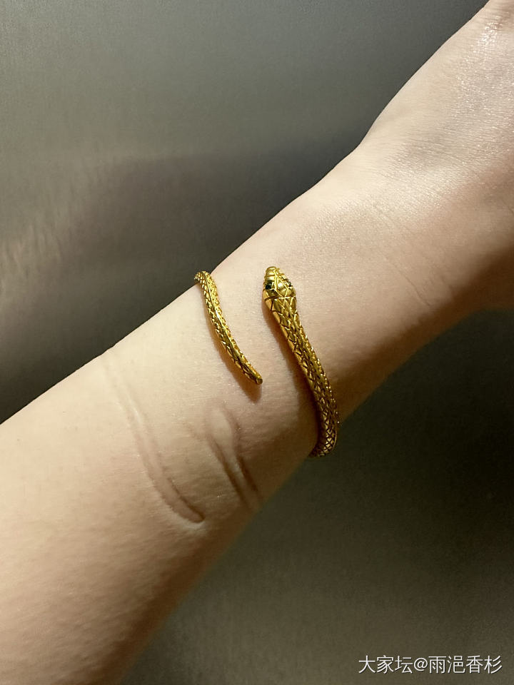 一条小金蛇_手镯金