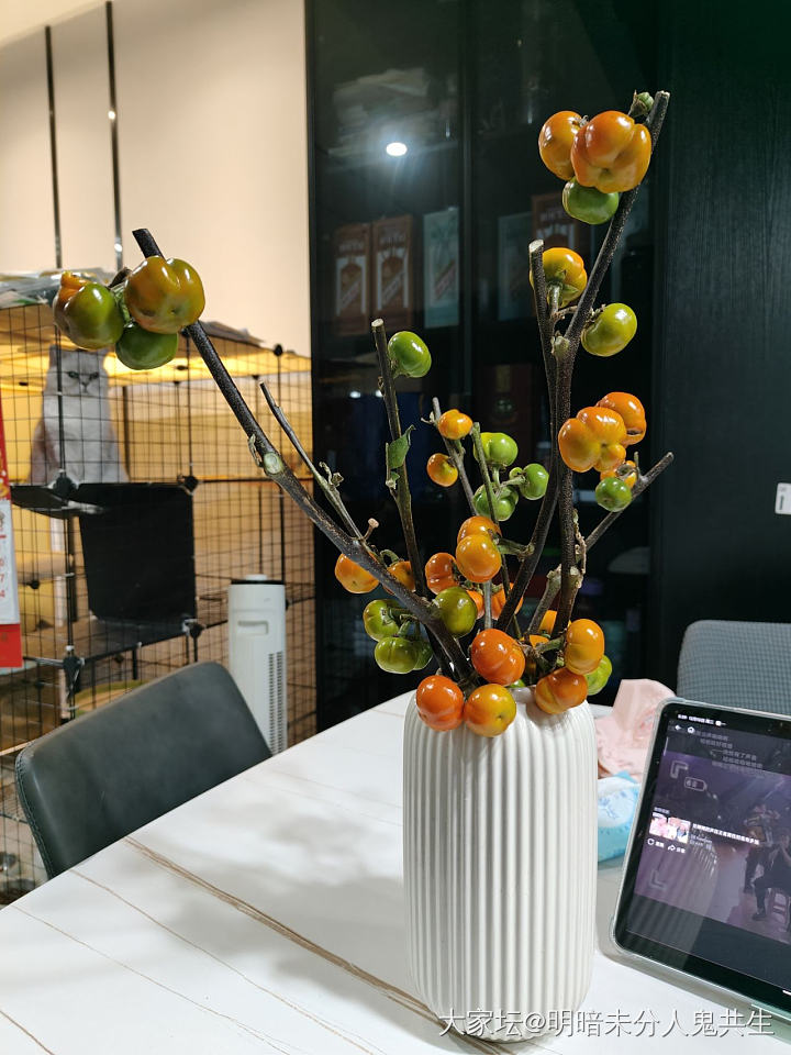 过年可以摆这个_花