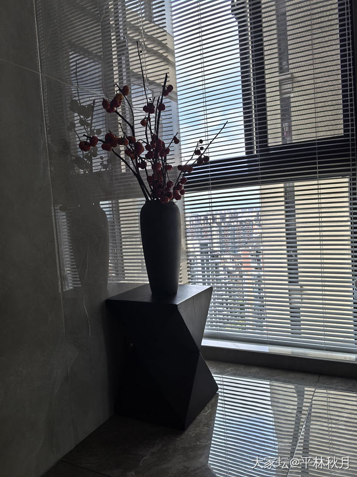 过年可以摆这个_花