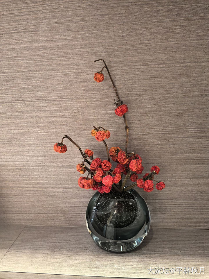 过年可以摆这个_花