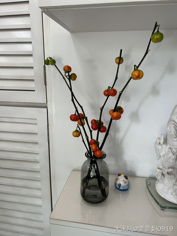 过年可以摆这个_花