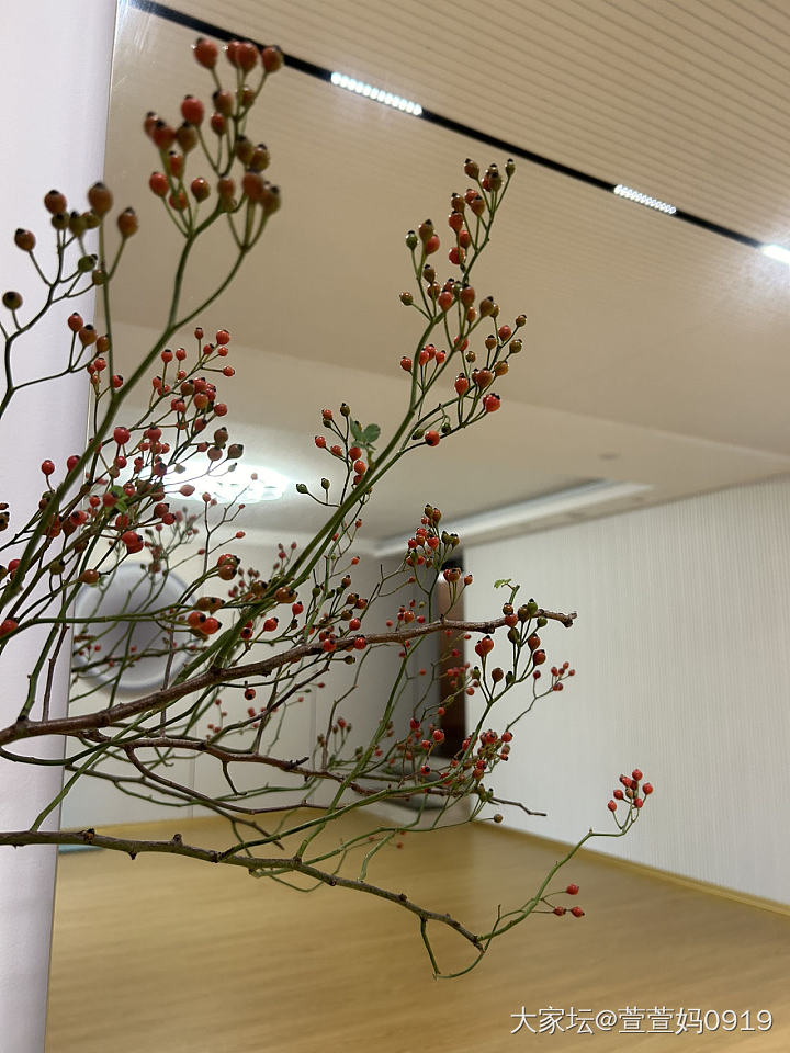 过年可以摆这个_花