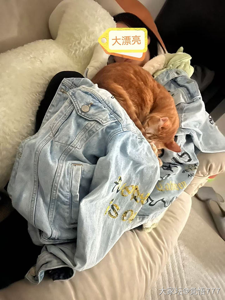 充当了两个小时的猫窝
且看我灵魂画手 （๑⃙⃘´༥`๑⃙⃘) 𐂐_猫