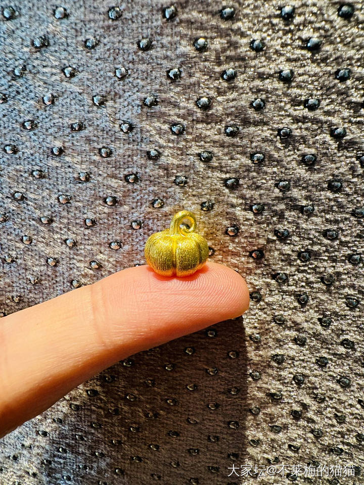 金南瓜🎃_福利社金