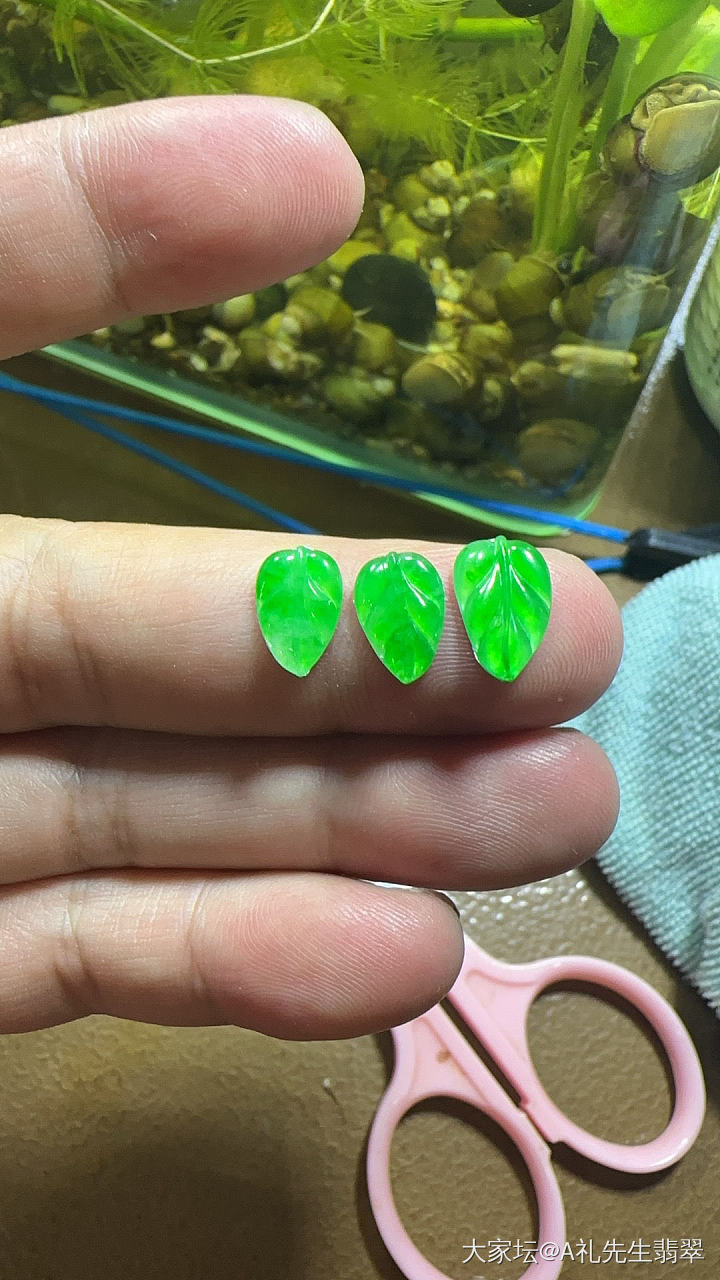 好久不见翠友们_翡翠