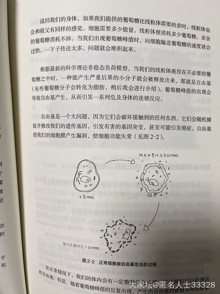 控糖饮食Day7——终结贴_美食