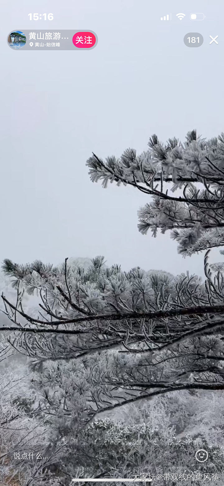 黄山下雪了，好想去_旅游景色