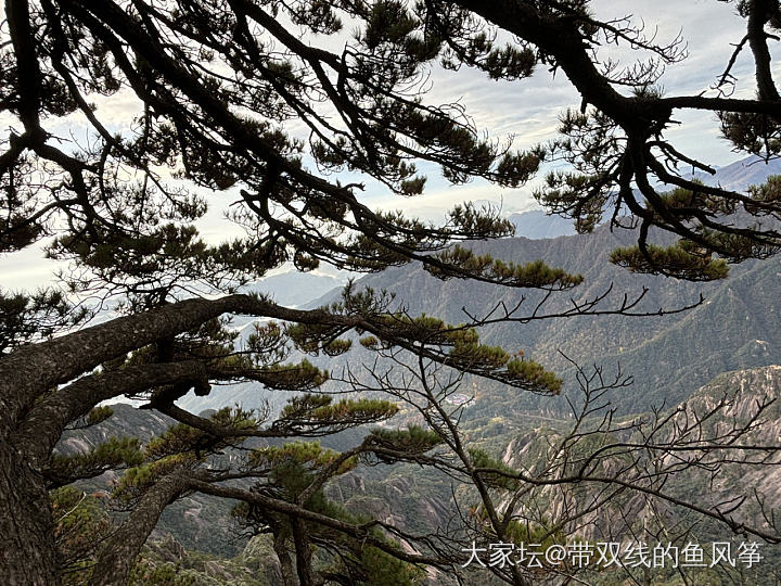 黄山下雪了，好想去_旅游景色