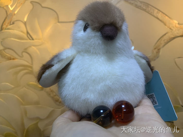 小鸟下了两个蛋😆_琥珀蜜蜡