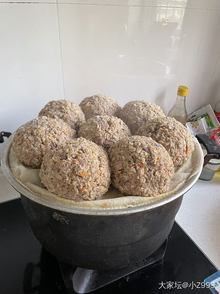 晒狗饭_狗