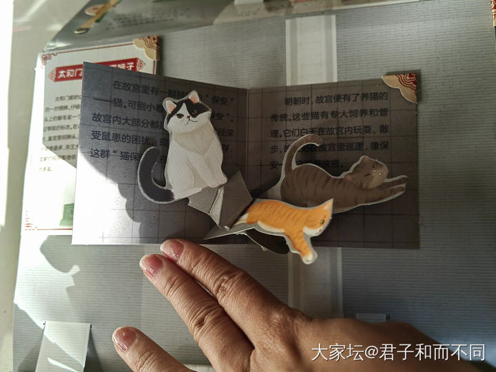 一本好玩的书_闲聊育教亲子
