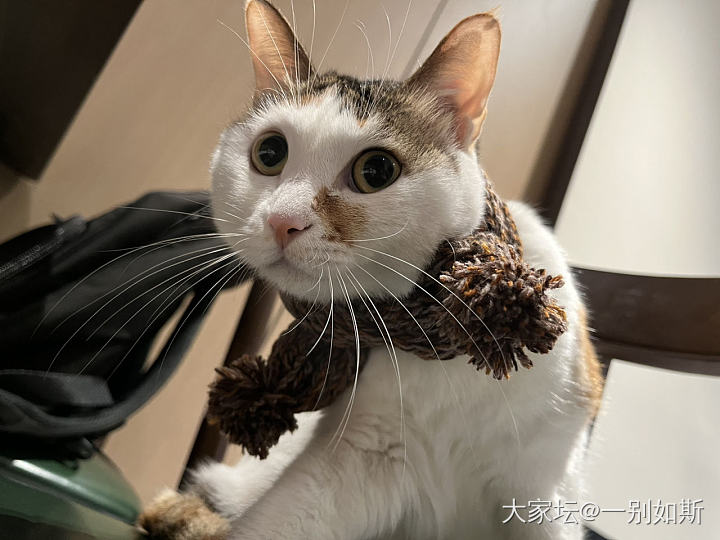 开眼界了，你看我刷到了啥_闲聊