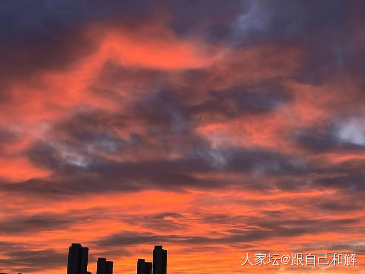 给点阳光就灿烂之小家碧玉🥰_老山檀和田玉