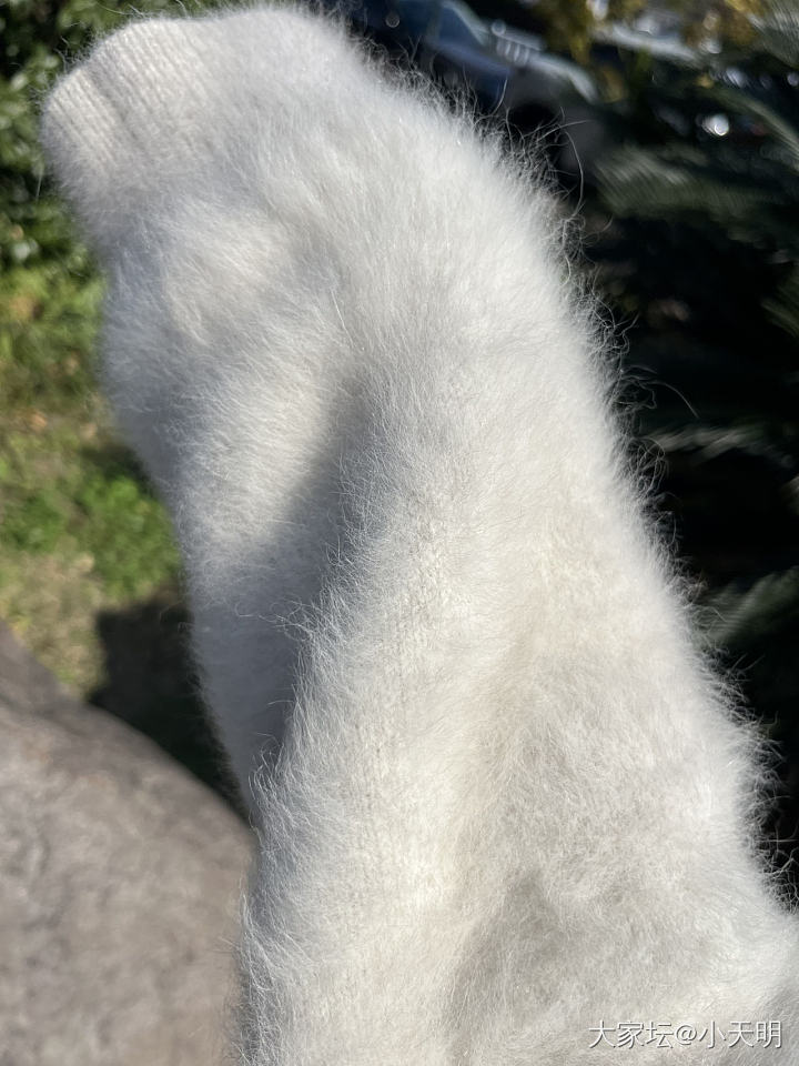 冬日购物之羊绒和皮草_穿搭