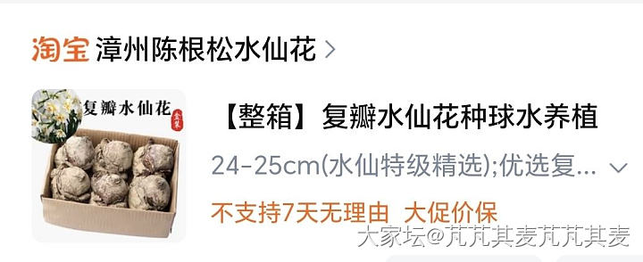 求推荐买水仙花球_植物
