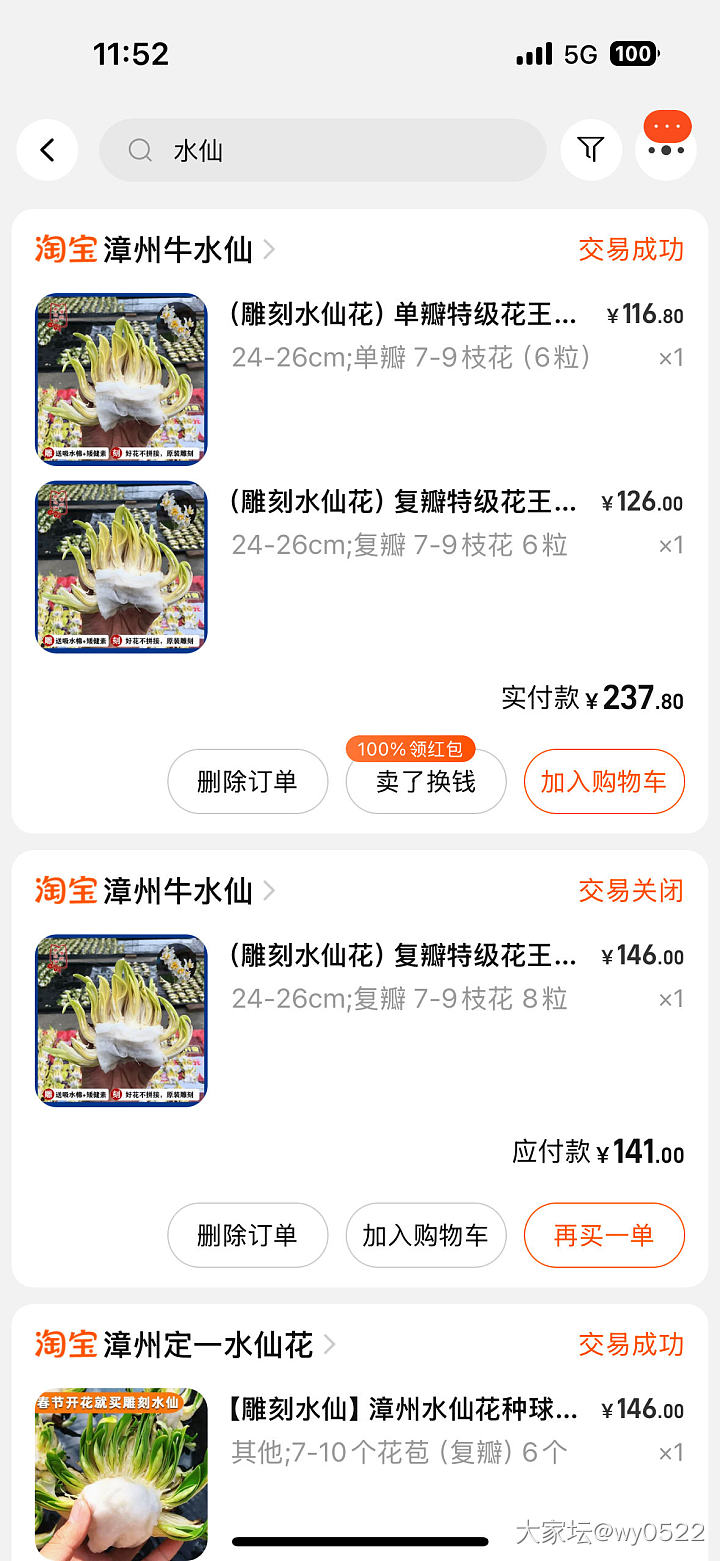 求推荐买水仙花球_植物