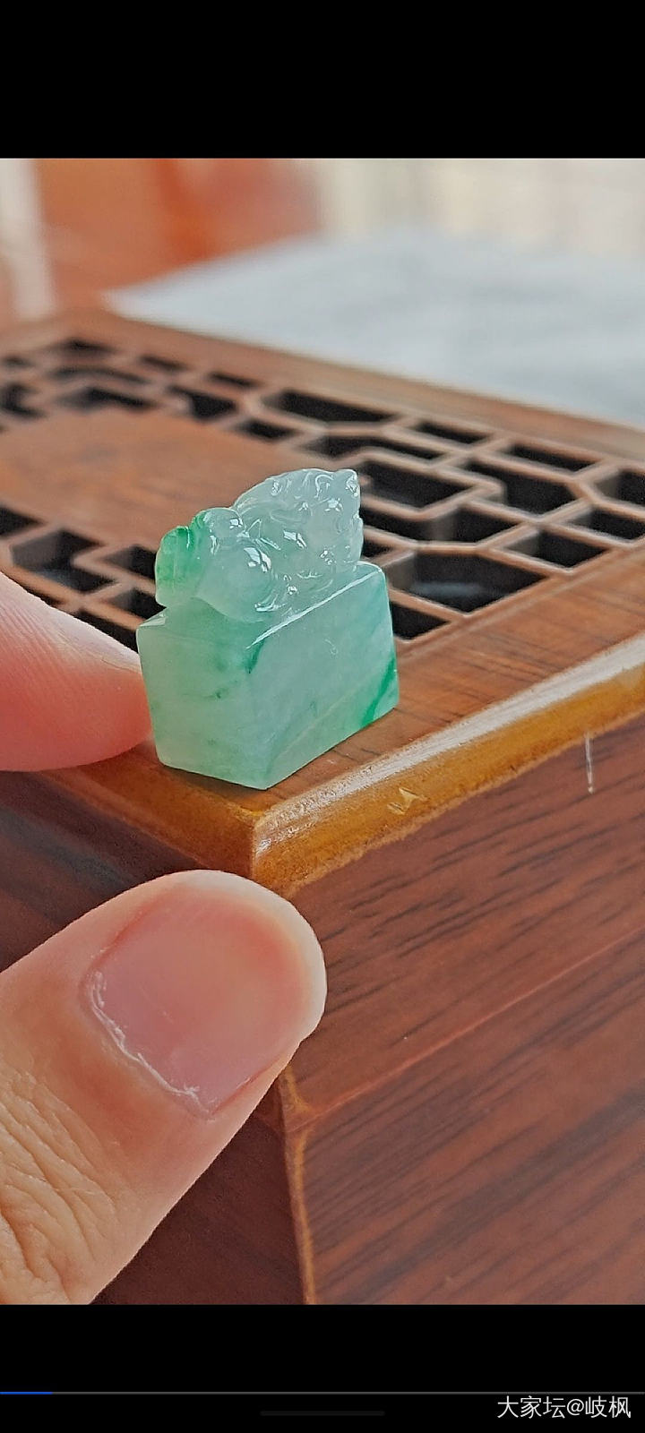 闲置区中的美图警告⚠️
