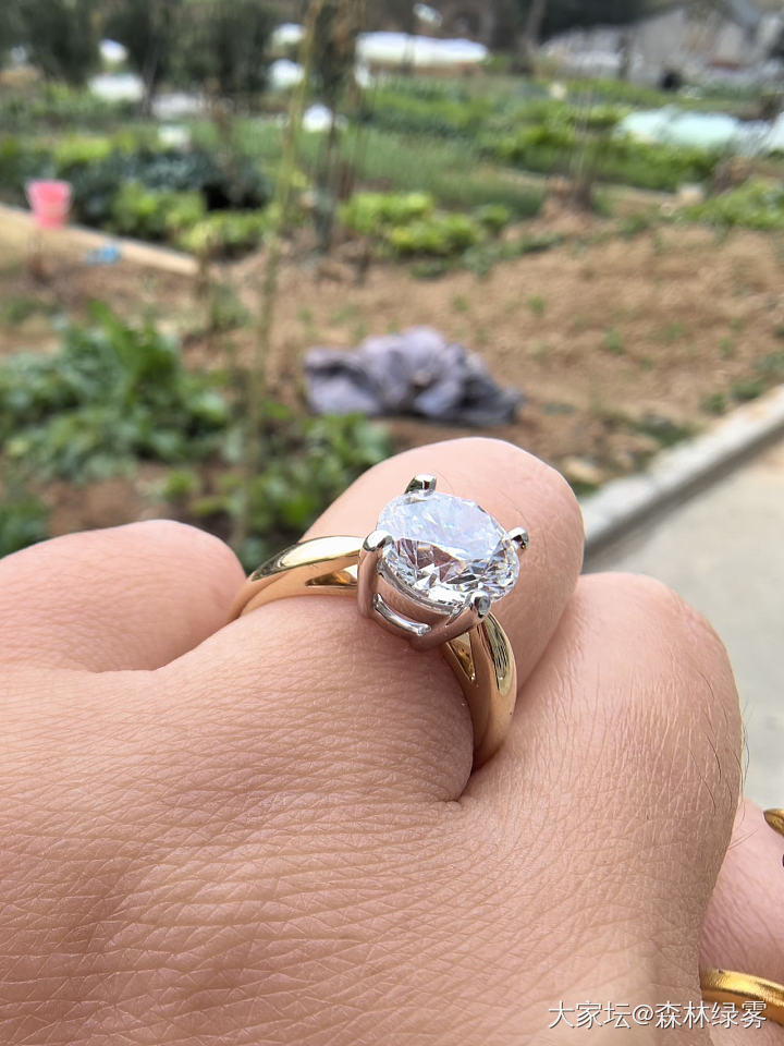 戒指💍到啦_戒指钻石