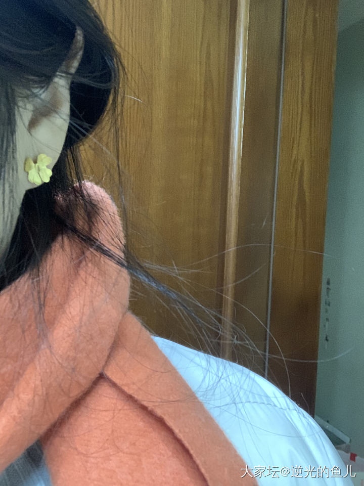 金叶子，说是四叶草感觉更像翩跹的蝶儿_耳饰金
