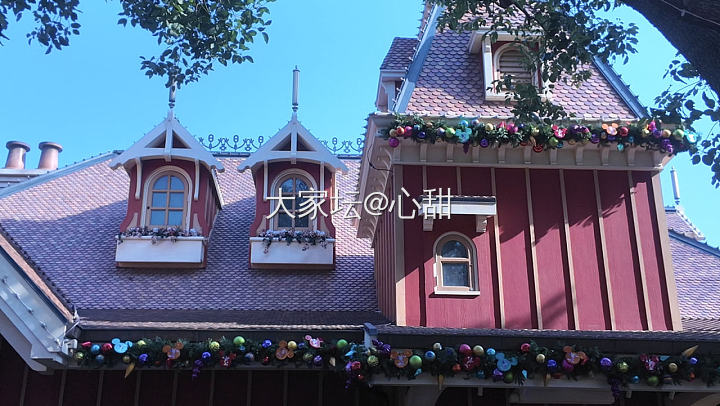 上海迪士尼剪影（如果大家坛也能发live图就好了）_华东旅游