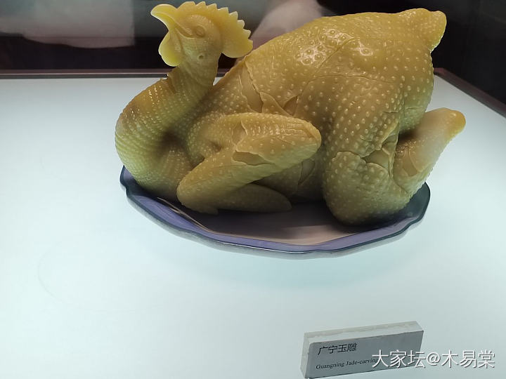 从哪里能买到好吃的白切鸡_美食