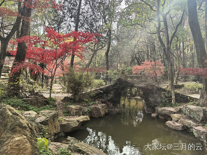 江南小城的初冬_景色