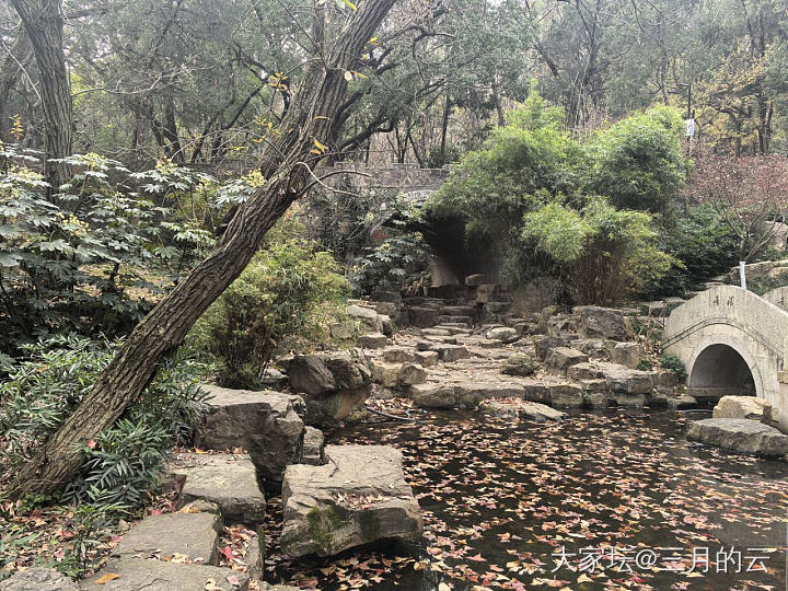 江南小城的初冬_景色