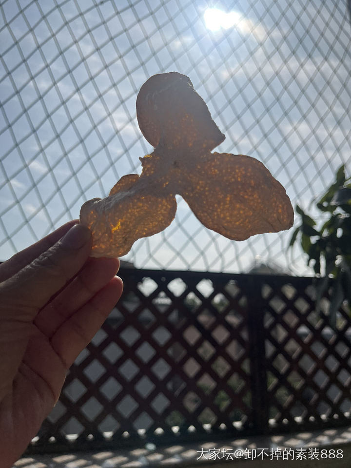 坛里的姐妹赶上尾班🚗还在观看犹豫的……想入手的姐妹！要等明年了😝😝_美食