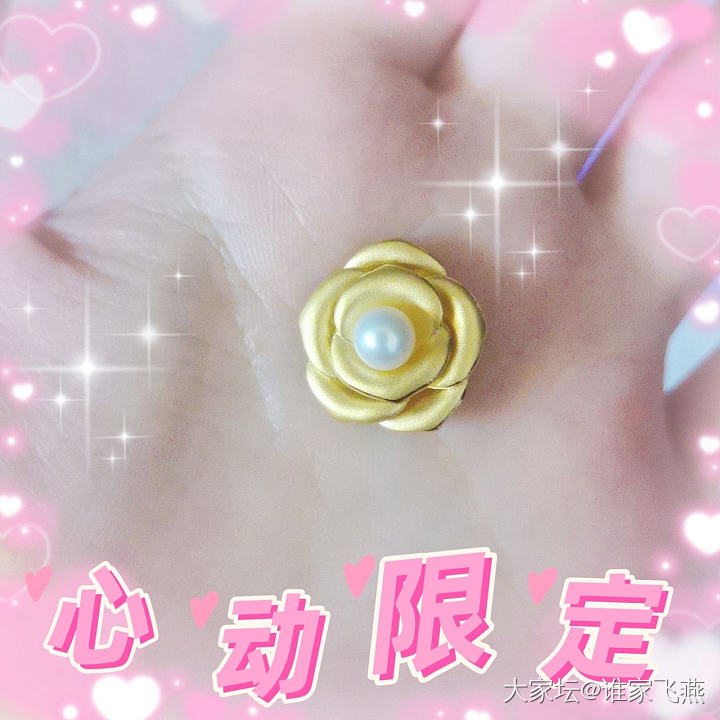 2024年终总结～海量美图来袭_金