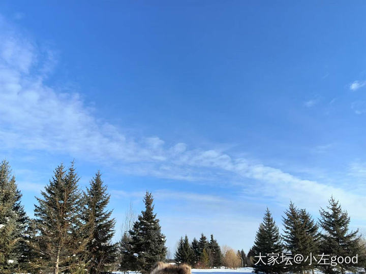 漠河一点都不冷_东北景色