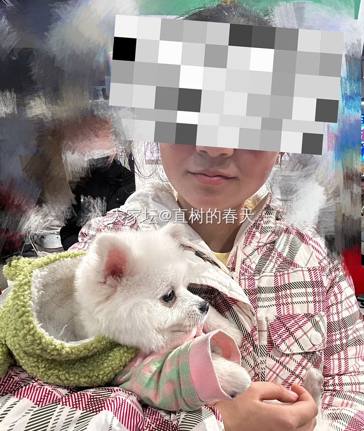 背着喵喵喵喵撸狗🐶_宠物