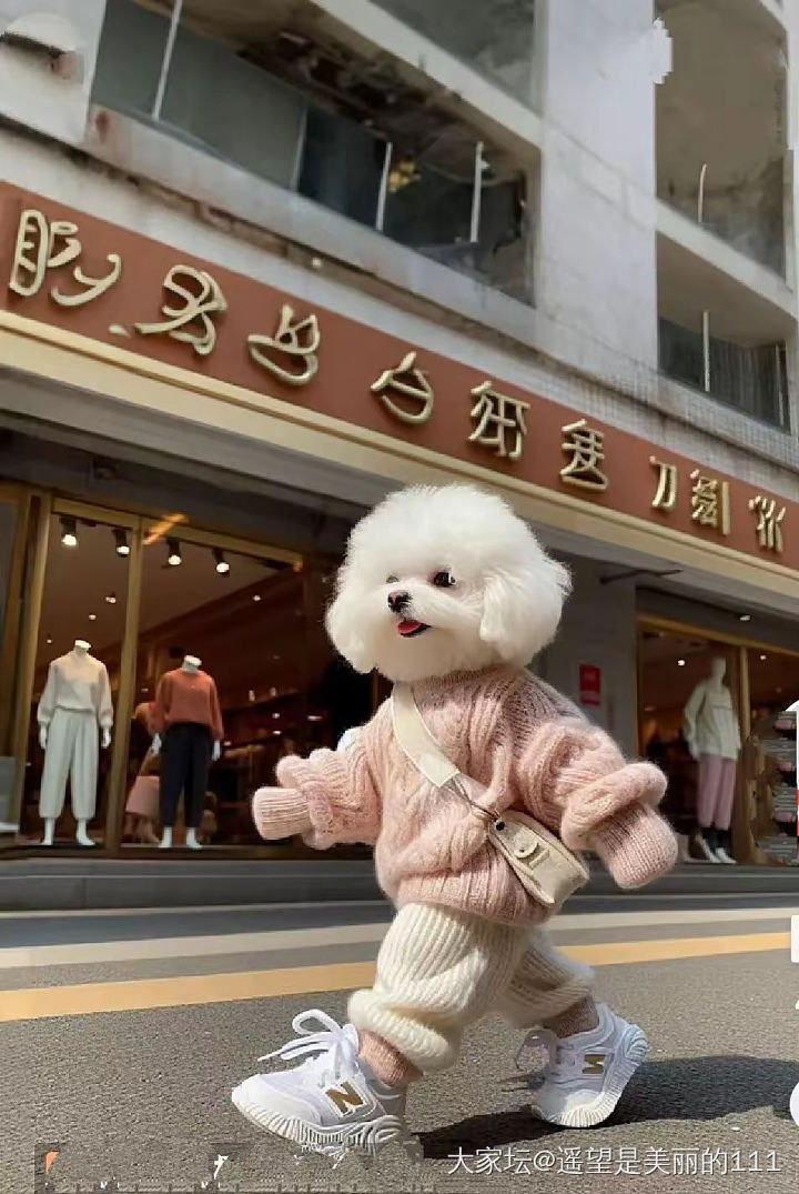求推荐染发膏_洗护