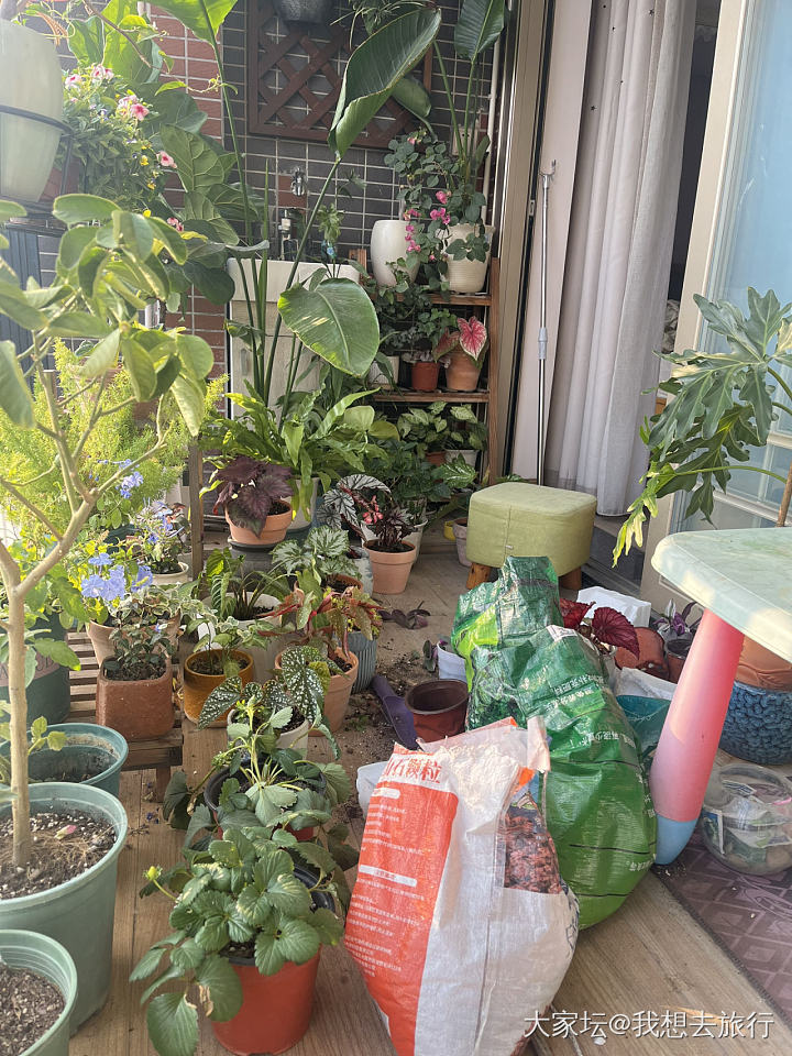 又是一个充实的周末_植物